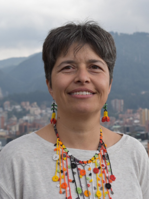 Taina Junquilho